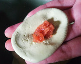 Foto langkah ke 1 dari resep Kelepon Tepung Ketan Isi Gula Merah.