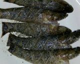 Hình bước làm 1 của món Cá bống chiên mắm tỏi