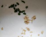 A picture of step 1 of Idada from Idli Batter.