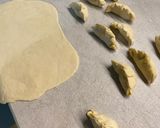 Foto del passaggio 4 della ricetta Ravioli cinesi al vapore con verdure