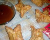 A picture of step 9 of Wontons.