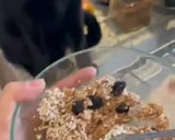 Foto del paso 2 de la receta: Trufas de avena