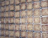Foto langkah ke 5 dari resep Macaroni schotel panggang.