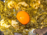 Revuelto de grelos con gambas