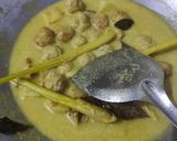 Foto langkah ke 4 dari resep Bola Bola Ayam Opor Santan.