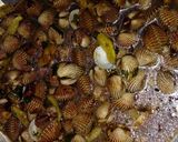 Foto langkah ke 5 dari resep Swike kerang dara.