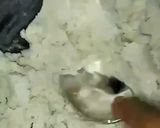 Foto langkah ke 3 dari resep Pepes kelapa ikan asin/ klotok.