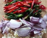 Foto langkah ke 2 dari resep Ikan Santan Pedas.
