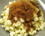 Foto langkah ke 2 dari resep Apple Pie.
