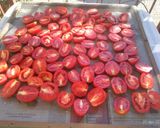 Foto del passaggio 1 della ricetta Pomodori secchi sott'olio, capperi, acciughe e peperoncino