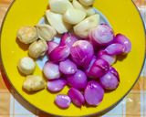 Foto langkah ke 2 dari resep OPOR Ayam Negeri.