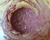 A picture of step 2 of Berry smoothie bowl.
