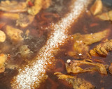 Foto del paso 6 de la receta: Paella de pollo y conejo con romero ¡Desde cero con todo detalle!