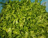 A picture of step 1 of Aalu palak.