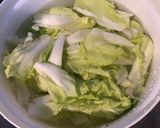 Une image de l'étape 1 de Salade bicolore de chou rouge,oignon de roscoff et scarole.