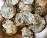 A picture of step 5 of Gnudi.