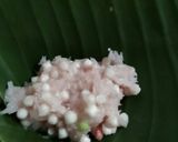 Foto langkah ke 4 dari resep Hawug-Hawug Mutiara.