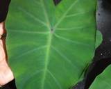Kochupata diye Chingri(Prawn with Colocasia leaves) recipe step 1 photo