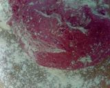 A picture of step 4 of Ginger Beet Bread.