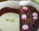 Foto langkah ke 4 dari resep Onion ring.