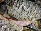 Ikan Mas Pete Jamur
