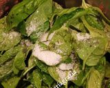 Foto del passaggio 3 della ricetta Pesto di melanzane 🍆👩‍🍳❤️