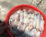 Hình bước làm 1 của món Canh mồng tơi nấu mực 🦑🦑