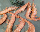 Foto del paso 1 de la receta: Cintas de espirulina con gambas