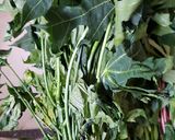 Foto langkah ke 1 dari resep Tumis Daun Pepaya Singkong.