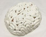 Foto del paso 11 de la receta: Tarta de cerebro para Halloween