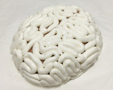 Foto del paso 11 de la receta: Tarta de cerebro para Halloween
