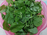 Sayur Bening Bayam