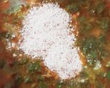 A picture of step 4 of Amaranths curry.