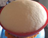 Foto del paso 4 de la receta: Pan tipo campo