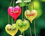صورة لخطوة 9 من وصفة المحشي الكذاب سريعة التحضير ولذيذة