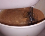 Foto del paso 3 de la receta: Flan de dulce de leche