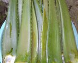 Foto langkah ke 1 dari resep Es lidah buaya dan kelapa Muda.