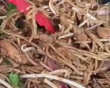 A picture of step 5 of Chicken Chow Mein with Whole wheat noodles 🍜 🥢.