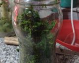 Foto del paso 3 de la receta: Pesto!