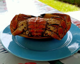 Foto del paso 1 de la receta: Ensaladilla de buey de mar y cangrejo real