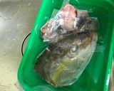 澎湖野生近岸小眼睛紅甘魚湯的食譜步驟1照片