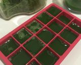 Foto del paso 2 de la receta: Extracto de pasto de trigo (wheatgrass)