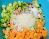 Foto langkah ke 3 dari resep Acar Mentah.