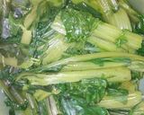 Foto del paso 5 de la receta: Canelón de Acelga ♥