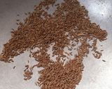 A picture of step 3 of Nimbu ke chhilke Ka Achar.