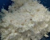 Foto langkah ke 1 dari resep Kue putu ayu super lembut.