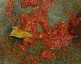 Foto langkah ke 2 dari resep Sambal goreng kentang telur.