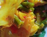 Foto langkah ke 3 dari resep Gulai sayur ala padang(fiber creme).