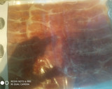 Foto del paso 1 de la receta: Bocadillo de jamón serrano con aceite de oliva