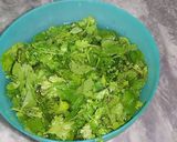 A picture of step 1 of Green Chutney💚🍀.
